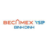 becamexvsipbinhdinh