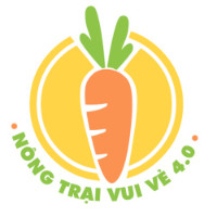 nongtraivuive
