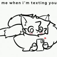 TextMann95