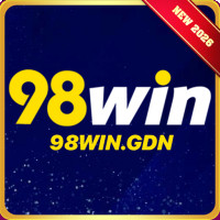 98wingdnn