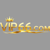 Vip66training2