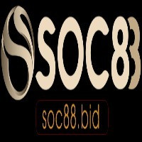Socbid1vn