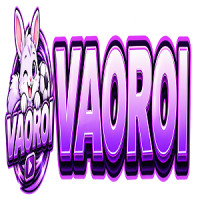 vaoroitvwork