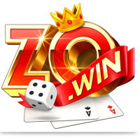 zowinbrcom1