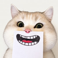 cutypei
