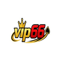 vip66day
