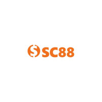 c88seocom2