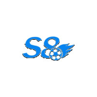 s8degree1