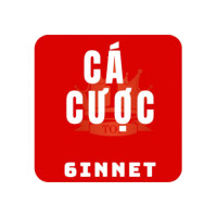 trangcacuocbongda6innet