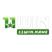 11winnamevn