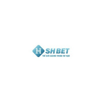 shbet800comm1
