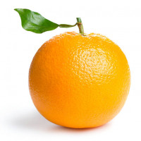 Orangeuglad