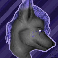 Dark-_-Wolf