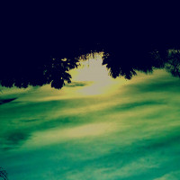 Devils_Left_Hand
