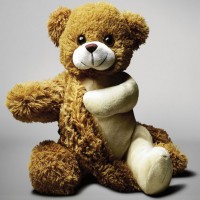 daddybear
