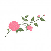 Rosebranch