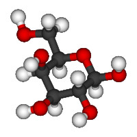 GalactoseTolerant