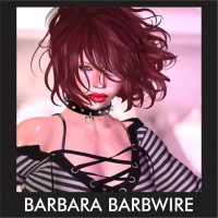 Barbara Barbwire