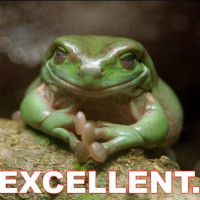 Exxcelent