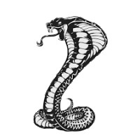 Cobra9836