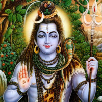 Sanatani