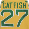 catfish27