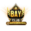 bayclubvntech