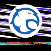 nowgoalwtf