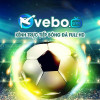 vebozzxcc