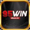 95winltd