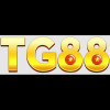 tg88solutions