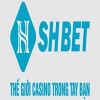 shbetinfovn