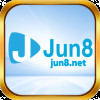 jun8nett