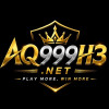 aq999h3