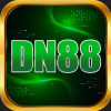 dn88run
