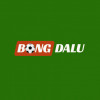 Bongdaluvip99com
