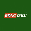 Bongdaluprocom