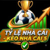 tylenhacai2vn
