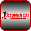 Keonhacai8art1