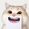 cutypei