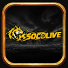 Socolive10art1