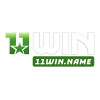 11winnamevn