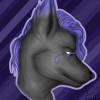 Dark-_-Wolf