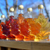 MapleholicsAnonymous