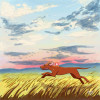 Vizsla13