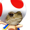 Toadtoad