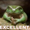 Exxcelent