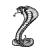 Cobra9836