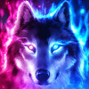 Youngwolfgw