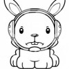 madrabbit